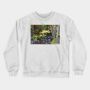 850_2706 Crewneck Sweatshirt